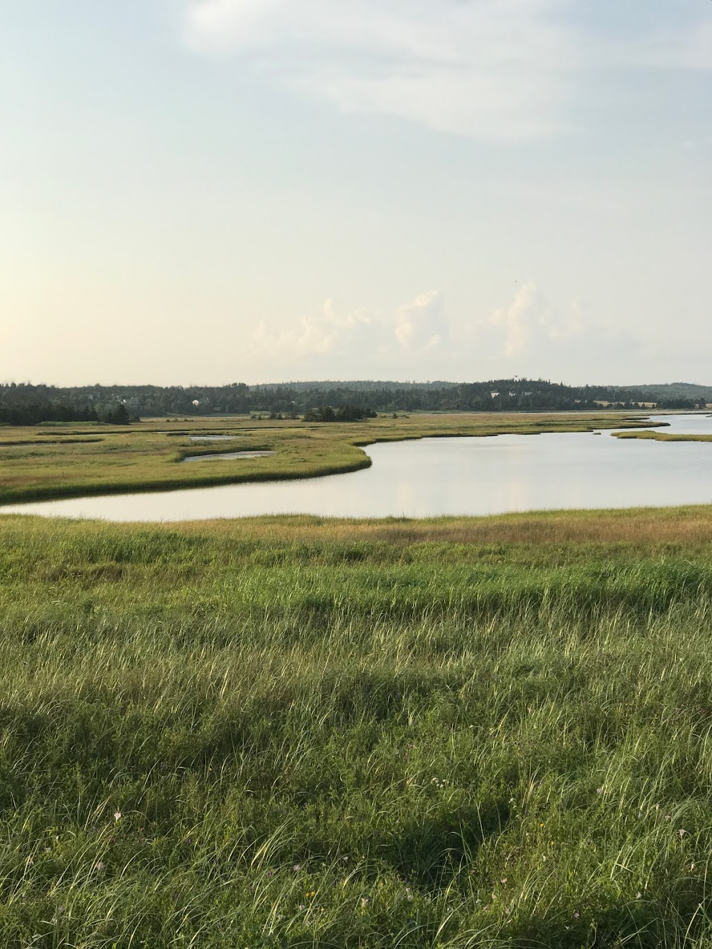 Nova Scotia Provincial Parks | 195 Conrad Rd, Lawrencetown, NS B2Z 1S1, Canada | Phone: (902) 424-5937