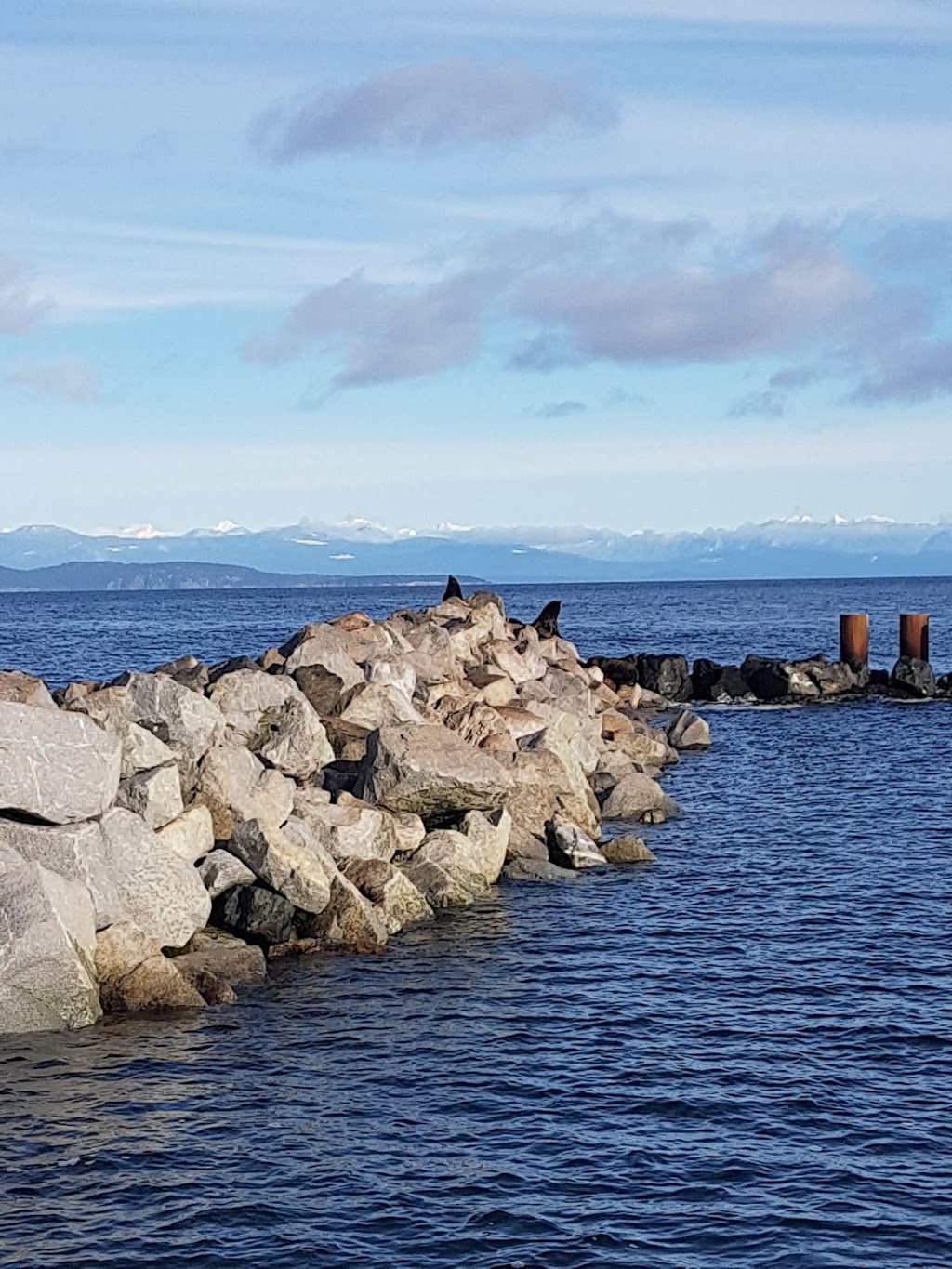 French Creek Marine Pub | 1025 Lee Rd, Parksville, BC V9P 2E1, Canada | Phone: (250) 248-3713