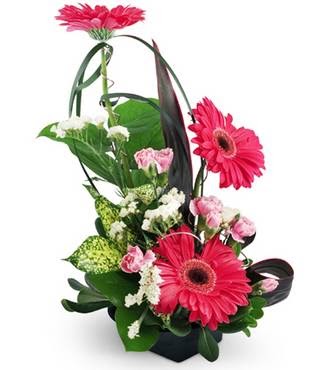 Floral Images | 68 Delhi St, Guelph, ON N1E 4J7, Canada | Phone: (519) 823-0691