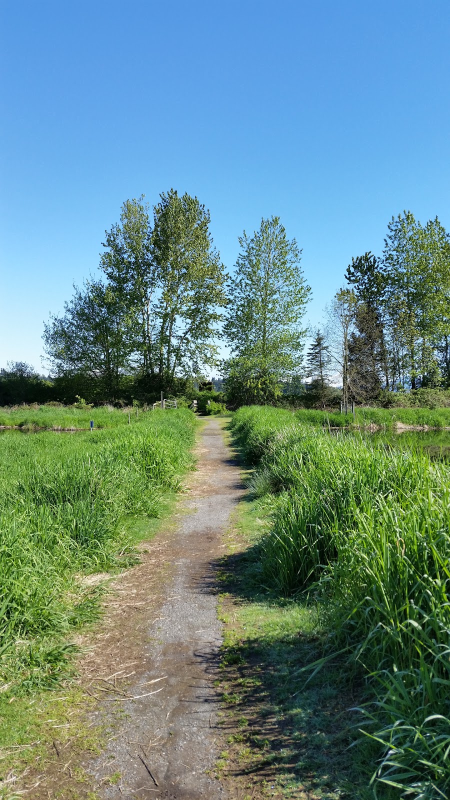 Serpentine Fen | King George Blvd, Surrey, BC V3S 0L2, Canada | Phone: (604) 591-4011