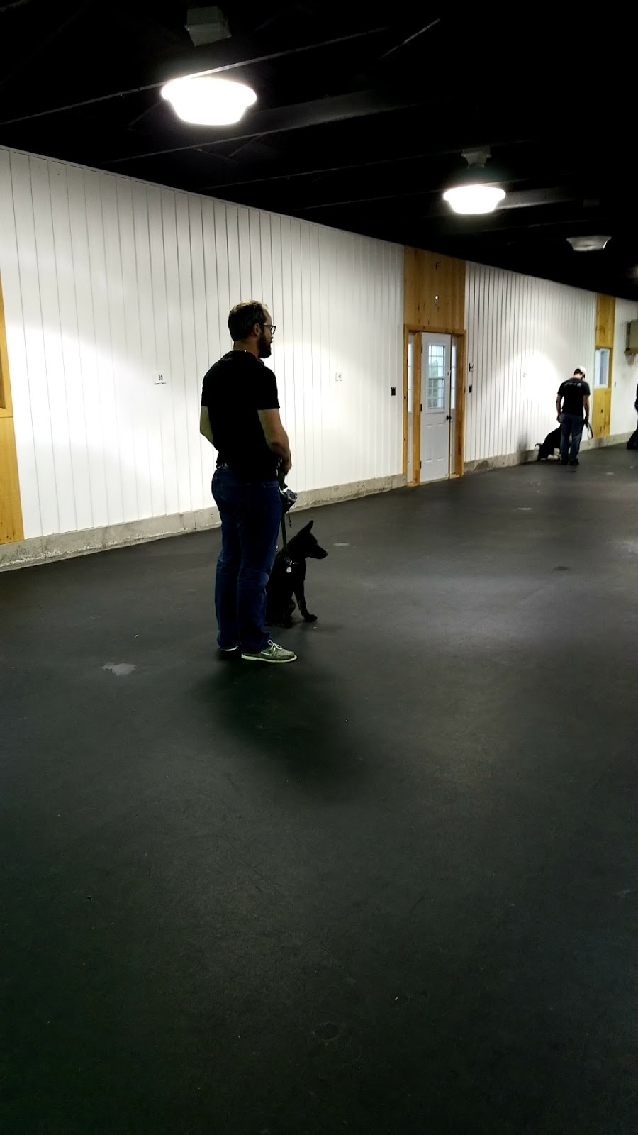 Dog Ranch Inc | 6361 Fourth Line Rd, North Gower, ON K0A 2T0, Canada | Phone: (613) 297-9871
