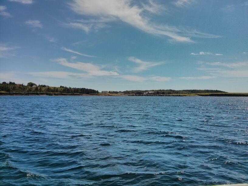 Lunenburg Yacht Club & Restaurant | 734 Hermans Island Rd, Lunenburg, NS B0J 2C0, Canada | Phone: (902) 634-3745