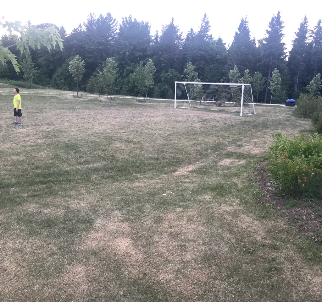 Gordon Stollery Park | 3990 Major Mackenzie Dr E, Markham, ON L6C 1P8, Canada | Phone: (905) 477-5530