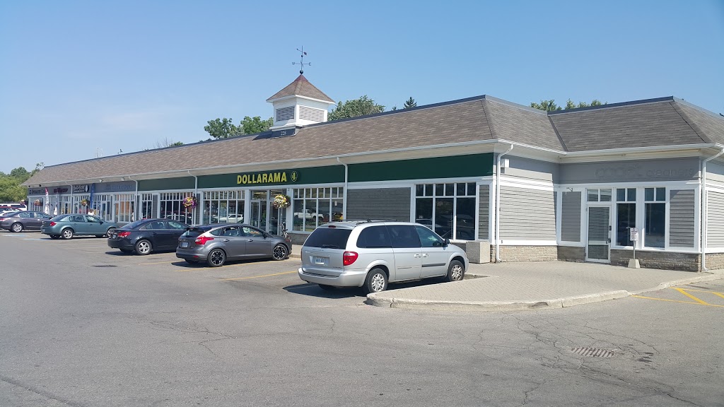 Dollarama | 228 Lakeshore Road W Credit Landing Shopping Centre, Mississauga, ON L5H 1G6, Canada | Phone: (905) 274-5716