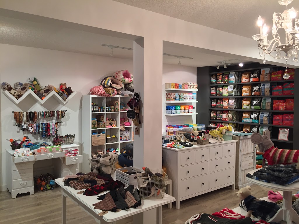 Doodle Dogs Inc | 3b Parkdale Crescent NW, Calgary, AB T2N 3T8, Canada | Phone: (587) 349-3647