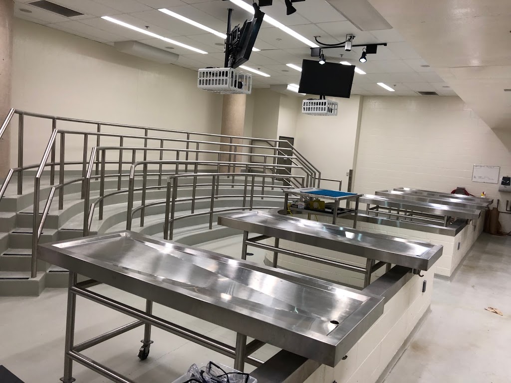Ontario Veterinary College | Gordon St & College Ave W, Guelph, ON N1G 2W1, Canada | Phone: (519) 836-3510