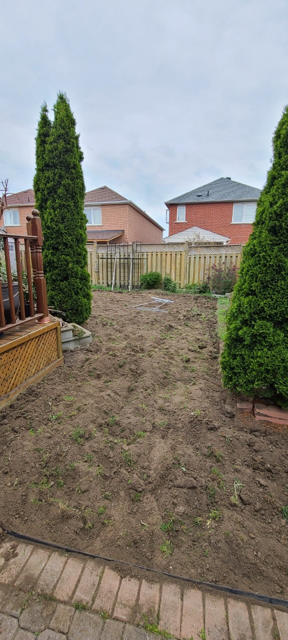 GTA Kentucky Sodding | 14 Beaconsfield Dr, Vaughan, ON L4H 4L5, Canada | Phone: (647) 394-6396