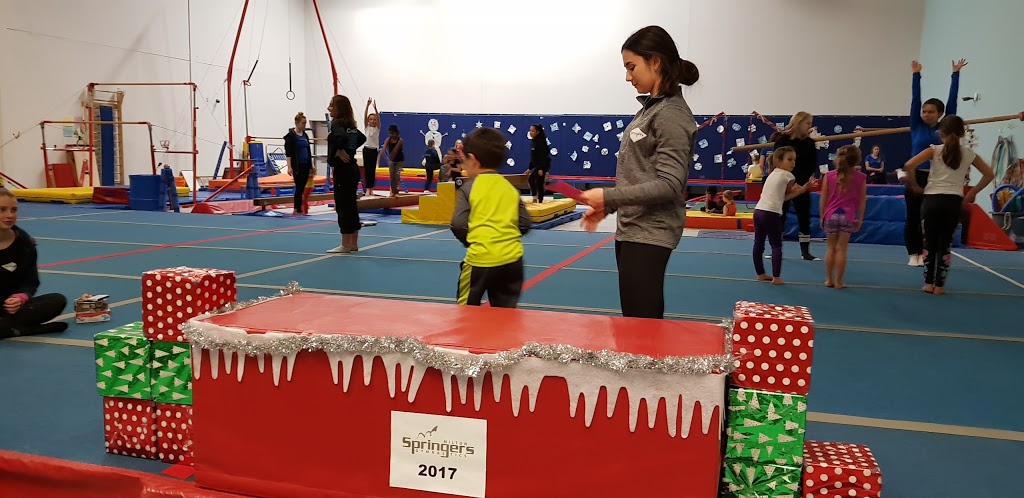 Milton Springers Gymnastics Club | 605 Santa Maria Blvd, Milton, ON L9T 6J5, Canada | Phone: (905) 878-5030