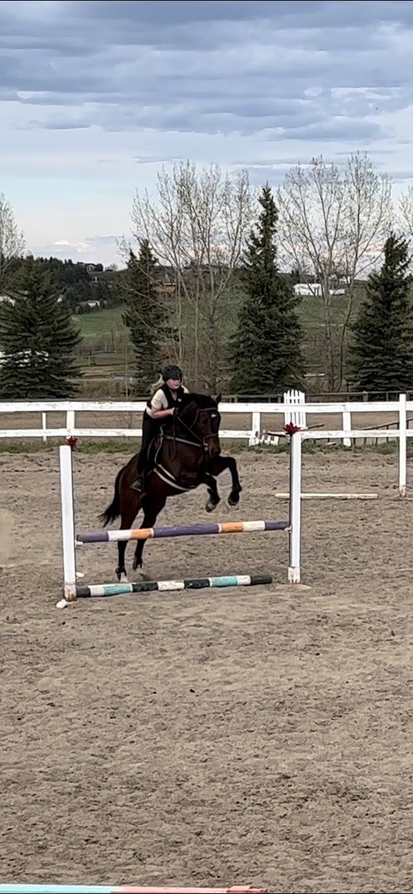 Paramount Equestrian Centre | Deerview Dr, De Winton, AB T0L 0X0, Canada | Phone: (403) 938-3671