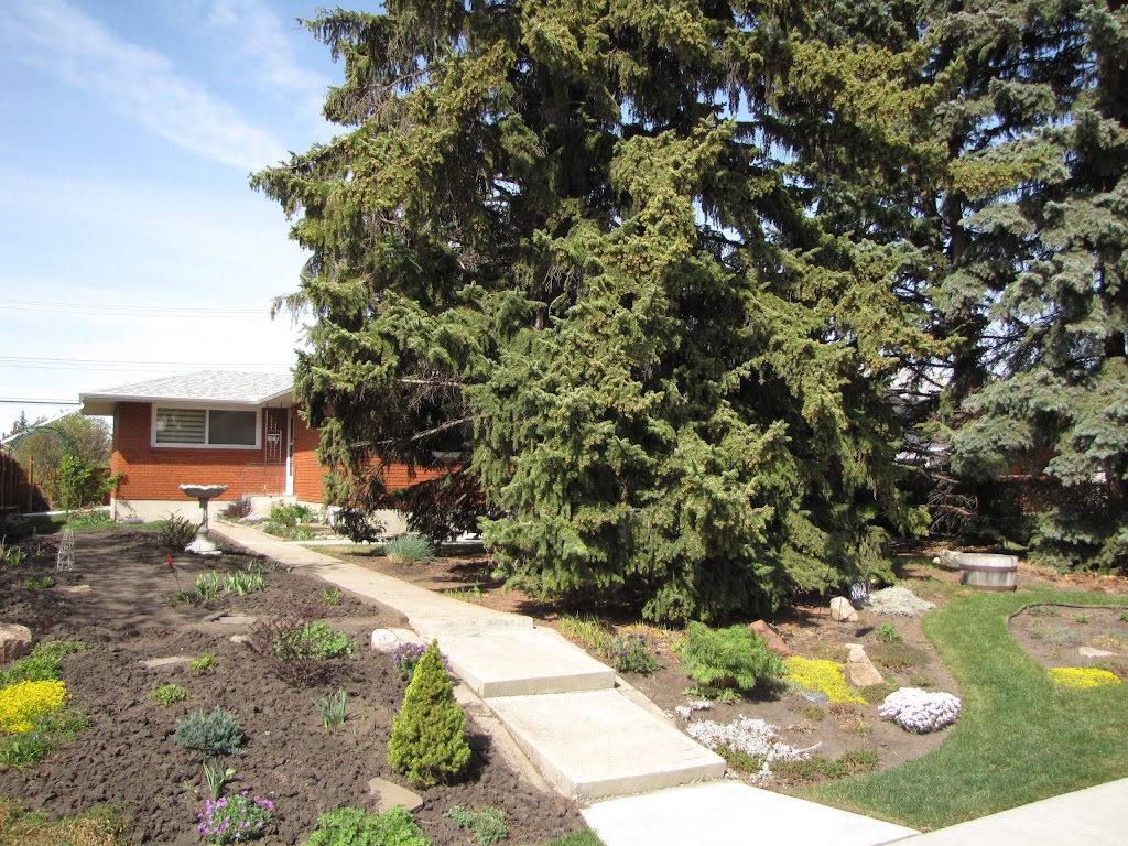 Lendrum Sugaring and Laser | 5220 114b St NW, Edmonton, AB T6H 3N5, Canada | Phone: (780) 270-3122