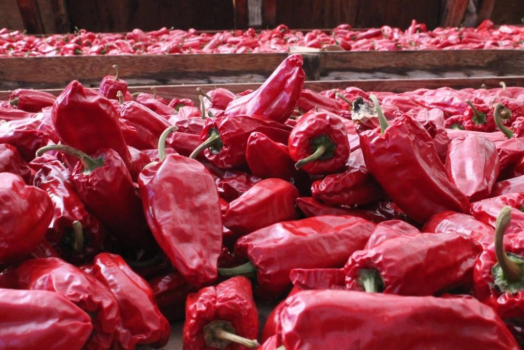 Les Jardins Des Chefs - Piment Gorria | 53 Rang des Éboulements Centre, Les Éboulements, QC G0A 2M0, Canada | Phone: (418) 635-2778