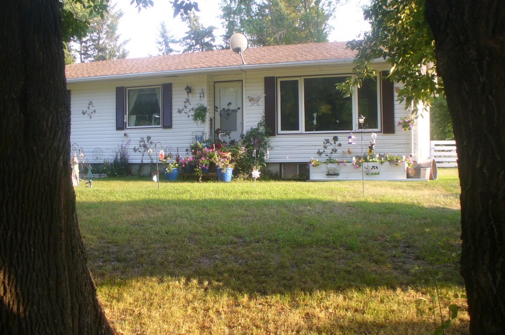 Wall 2 Wall Border Collies & Mini BorDoodles | Box 184, 250 Gimby St, Cartwright, MB R0K 0L0, Canada | Phone: (204) 529-2663