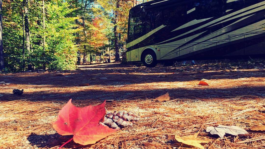 Pine Acres RV | 80 Commerce St, Moncton, NB E1H 0A5, Canada | Phone: (506) 388-5751