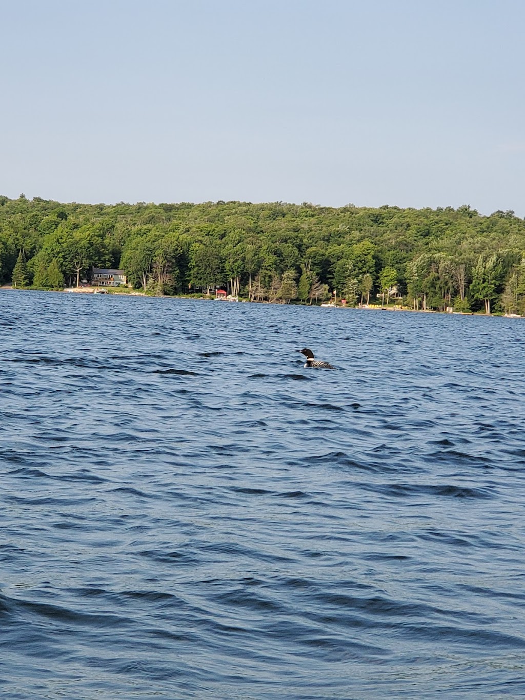 Birch Crest Resort | South Horn Lake Rd, RR#2 Birchcrest Ln, Burks Falls, ON P0A 1C0, Canada | Phone: (705) 382-3136