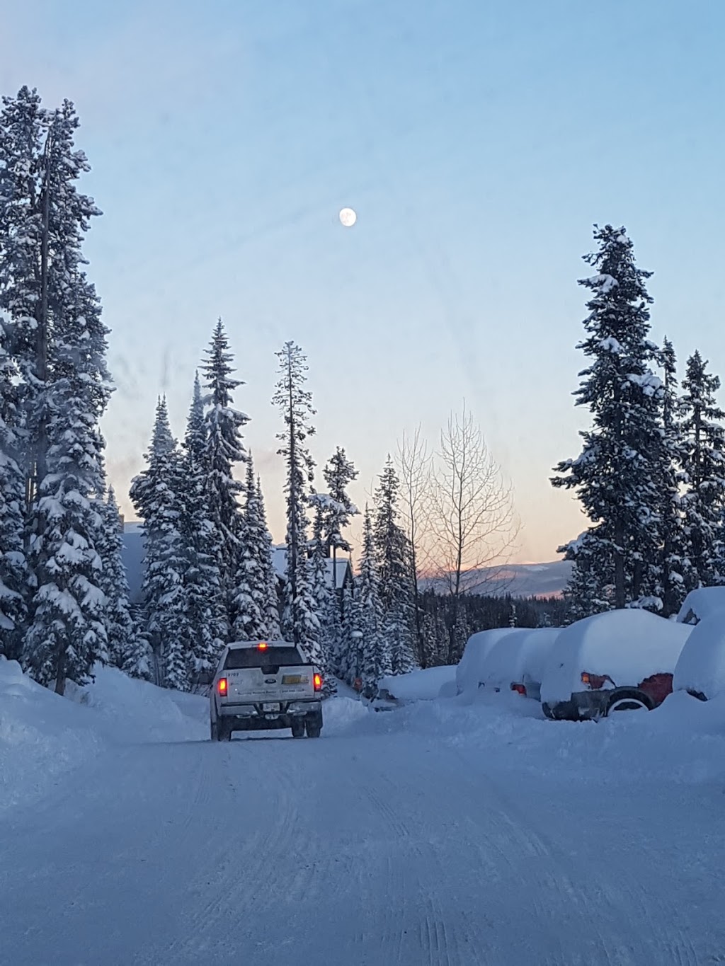 Big White Ski Resort Ltd | 5929 Snow Pines Cres, Kelowna, BC V0H 1A0, Canada | Phone: (250) 765-7235