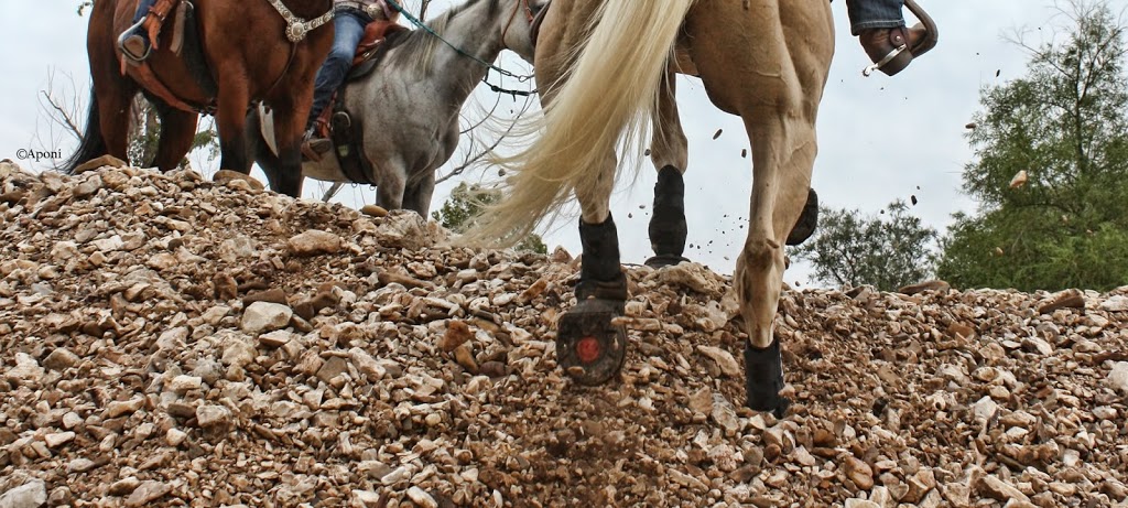 Cavallo Hoof Boots | 1714 Lockyer Rd, Roberts Creek, BC V0N 2W1, Canada | Phone: (877) 818-0037