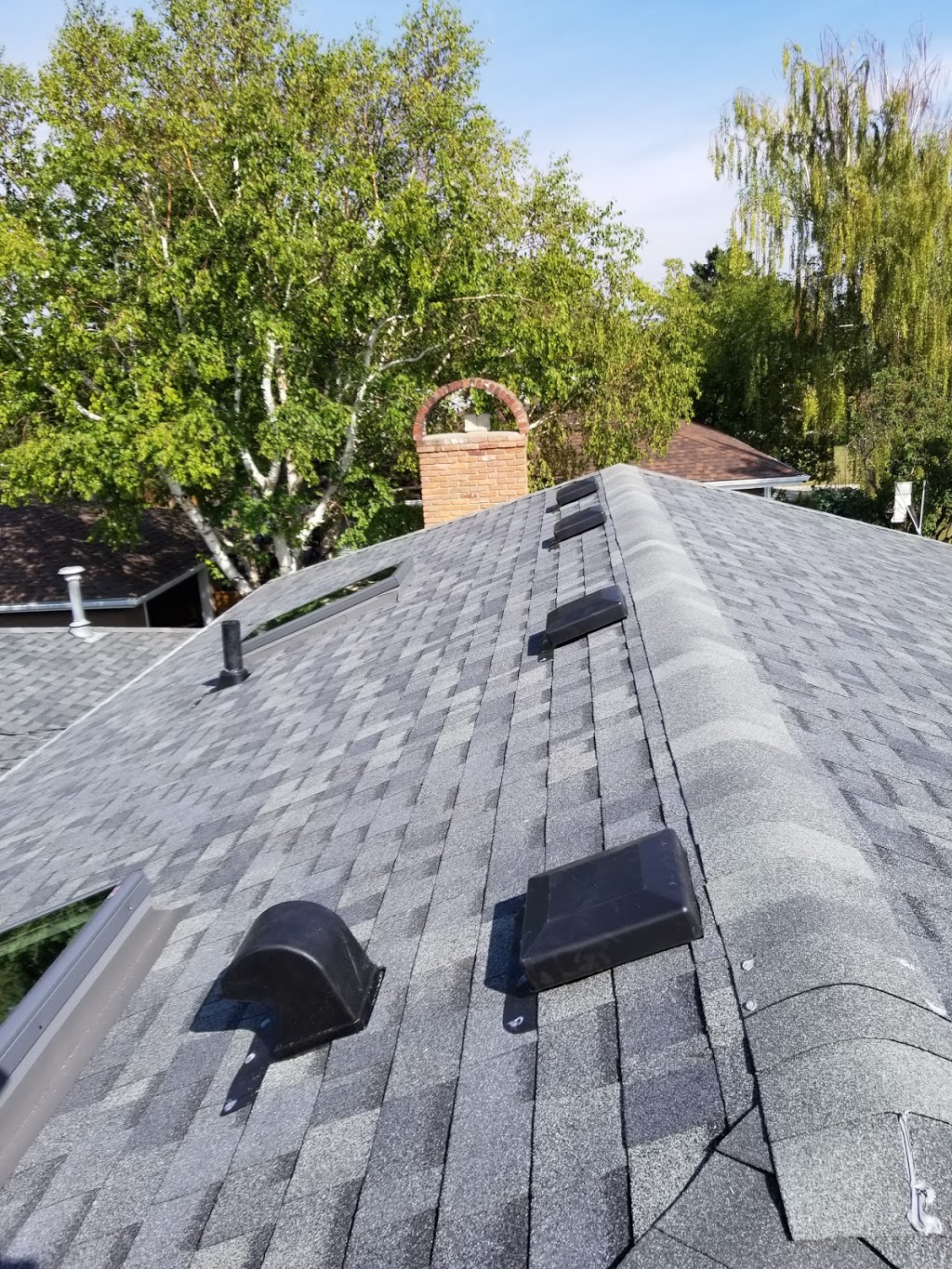 Maple Roofing Inc | 54 Everwoods Link SW, Calgary, AB T2Y 0G2, Canada | Phone: (403) 604-9413