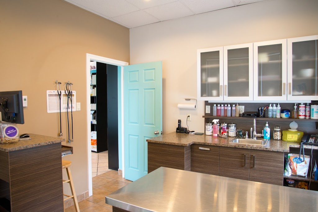 Veterinary Clinic Rosemere | 435 Chemin de la Grande-Côte, Rosemère, QC J7A 1L2, Canada | Phone: (450) 621-2700