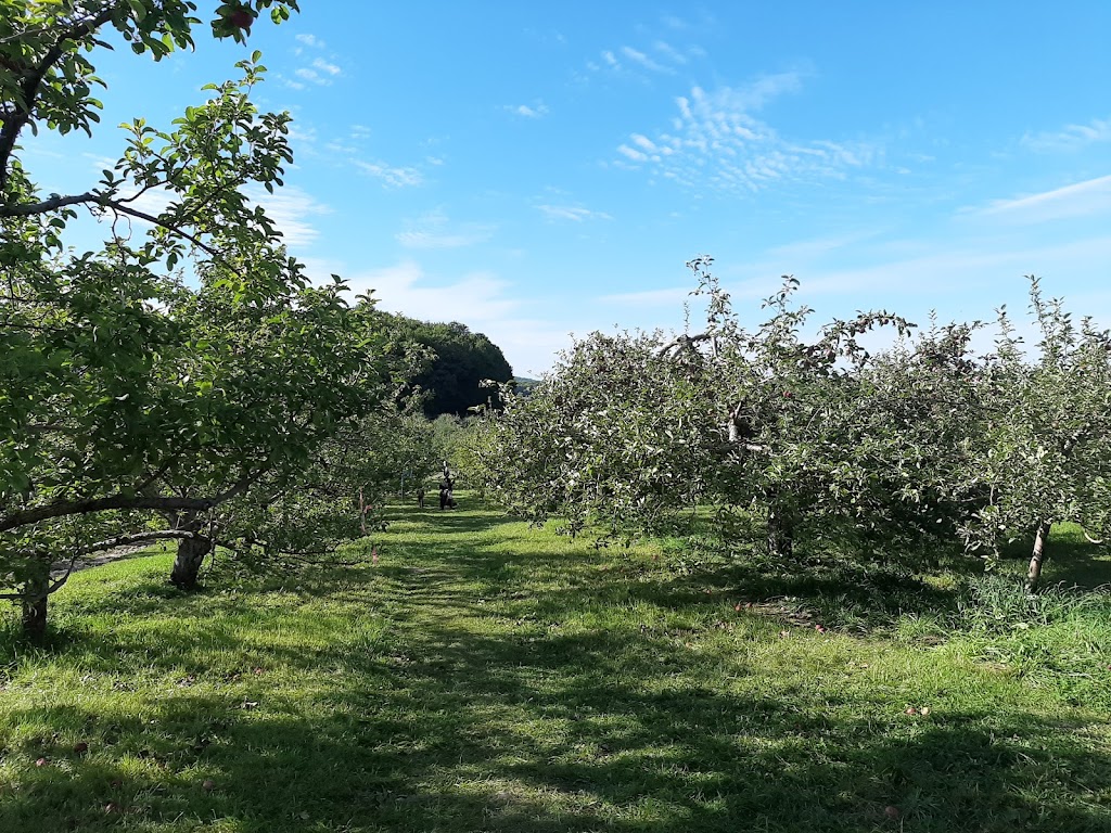Labonté de la Pomme Verger & Miellerie | 405 Rang de lAnnonciation, Oka, QC J0N 1E0, Canada | Phone: (450) 479-1111