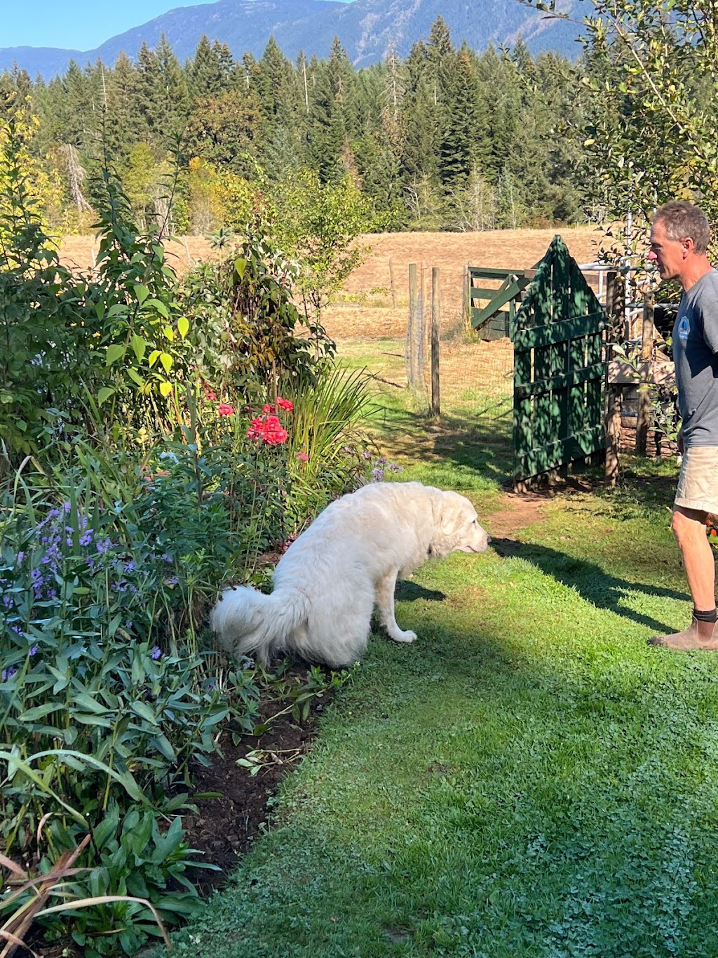 Coleman Meadows Farm | Alberni-Clayoquot D, BC V9Y 8Y9, Canada | Phone: (250) 724-0876