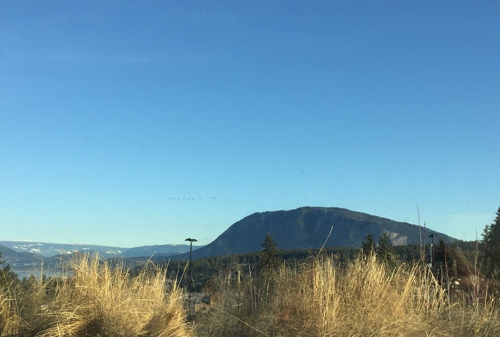 Bastion Medical Centre | 1120 25 St NE Suite 227, Salmon Arm, BC V1E 2S3, Canada | Phone: (778) 489-8142