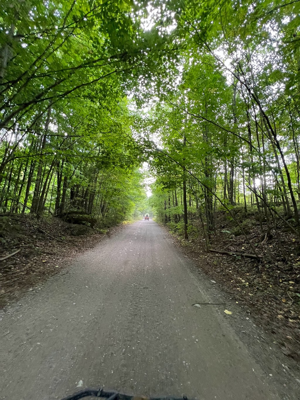 THRILL SEEKER ATV TOURS | 113741 hwy7, Kaladar, ON K0H 1Z0, Canada | Phone: (647) 892-9722