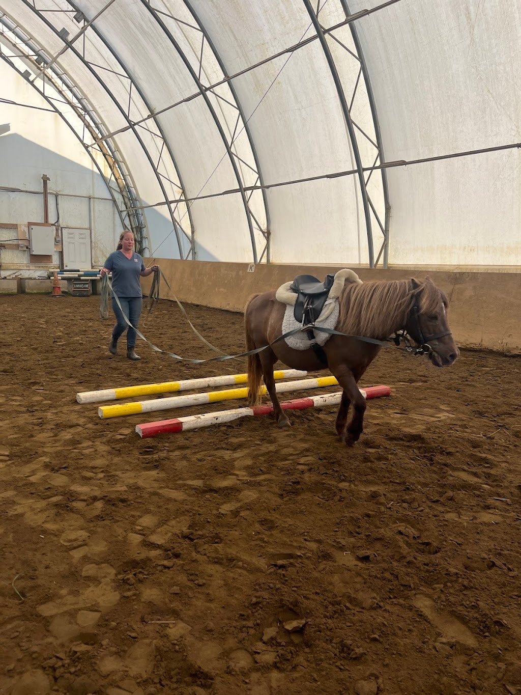Écurie Andréane Stables | Chem. Dustin, Stanstead-Est, QC J0B 1C0, Canada | Phone: (819) 349-6912