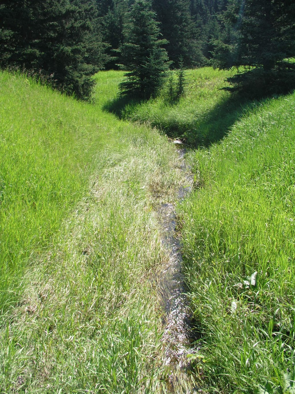 Brown - Lowery Provincial Park | Millarville, AB T0L 1K0, Canada | Phone: (403) 297-5293