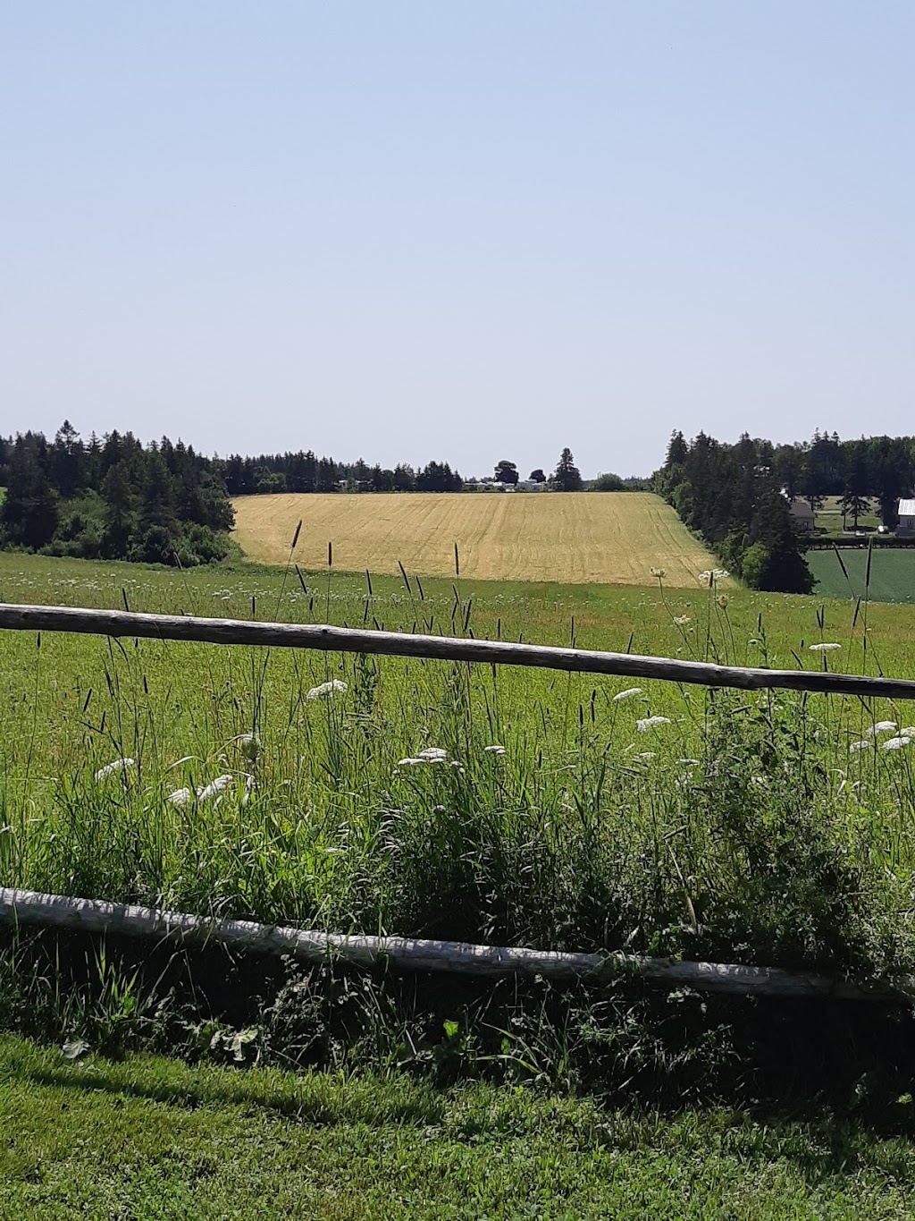 L.M. Montgomerys Cavendish National Historic Site | 8521 Cavendish Road Rte, PE-6, Cavendish, PE C0A 1N0, Canada | Phone: (902) 626-1784