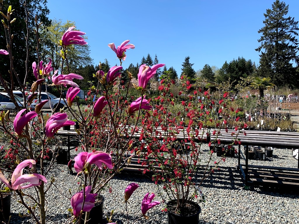 B Dinter Nursery Ltd | 2205 Phipps Rd, Duncan, BC V9L 6L2, Canada | Phone: (250) 748-2023