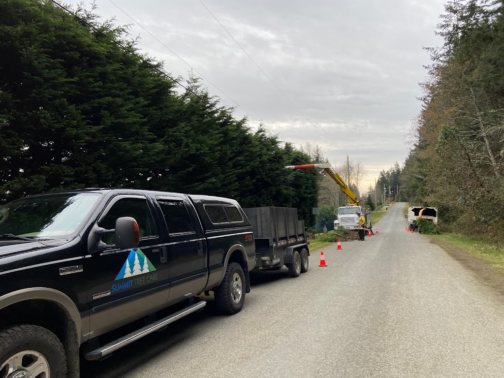 Summit Tree Care | point of interest | 3646 Reynolds Rd, Nanaimo, BC V9T 2P4, Canada | 2502688883 OR +1 250-268-8883