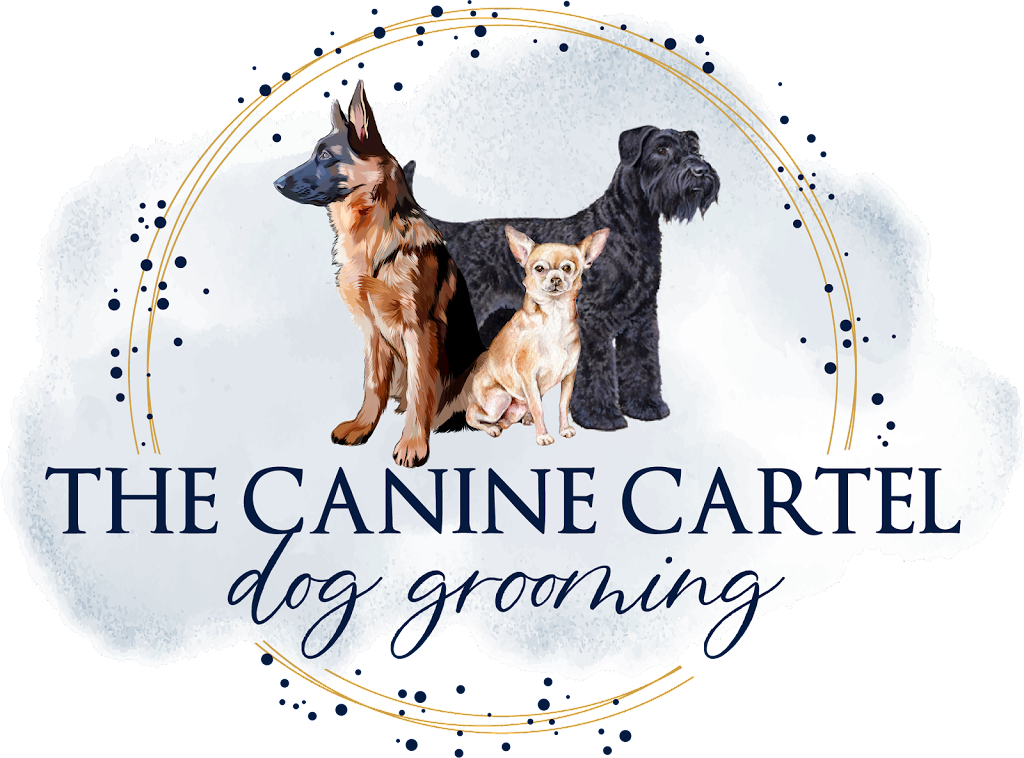 The Canine Cartel | 3776 Nineteenth St, Jordan Station, ON L0R 1S0, Canada | Phone: (905) 328-0559