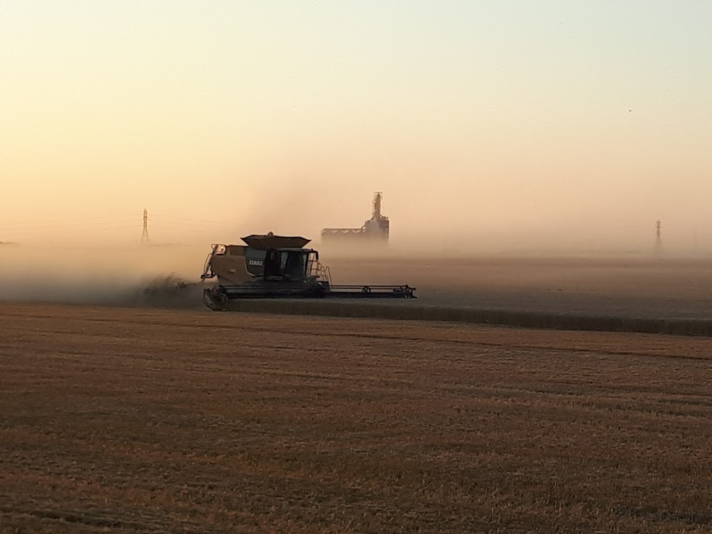Paterson Grain | Paterson Rd, Manitoba R3K 2E5, Canada | Phone: (204) 694-4445