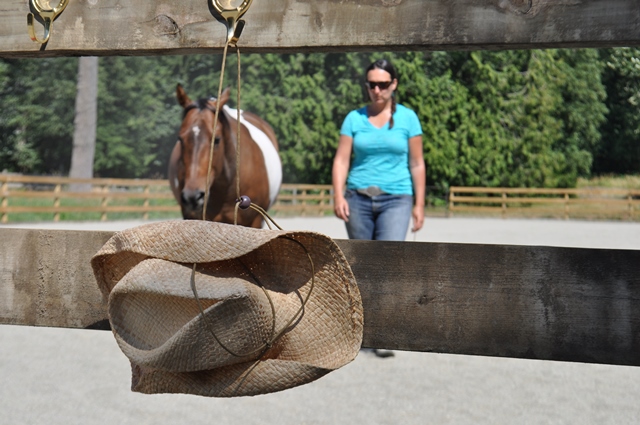 Wisteria Acres Wellness & Retreats | 8648 Armstrong Rd, Langley City, BC V1M 2R3, Canada | Phone: (604) 807-2255