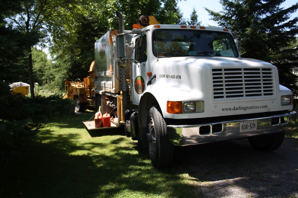 Darlington Tree Service | 2693 Taunton Rd, Bowmanville, ON L1C 3K6, Canada | Phone: (905) 261-1566