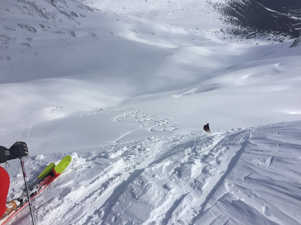 Tyax Heliskiing | 1 Tyaughton Lake Rd, Gold Bridge, BC V0K 1P0, Canada | Phone: (250) 238-2221