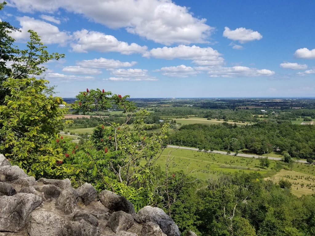 Rattlesnake Point Conservation Area | 7200 Appleby Line, Milton, ON L9E 0M9, Canada | Phone: (905) 854-0262