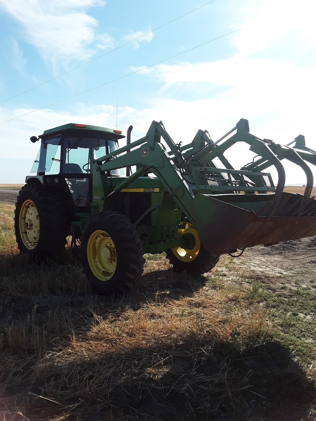 Berg Farms | Township Rd 100, Barnwell, AB T0K 0B0, Canada | Phone: (403) 317-3733