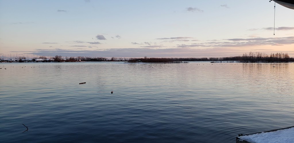 Toronto Multihull Cruising Club | 16 Regatta Rd, Toronto, ON M5A, Canada | Phone: (416) 461-0028