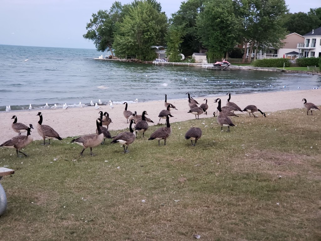 Bayview Memorial Park | 654 Lakeshore Rd E, Hawkestone, ON L0L 1T0, Canada