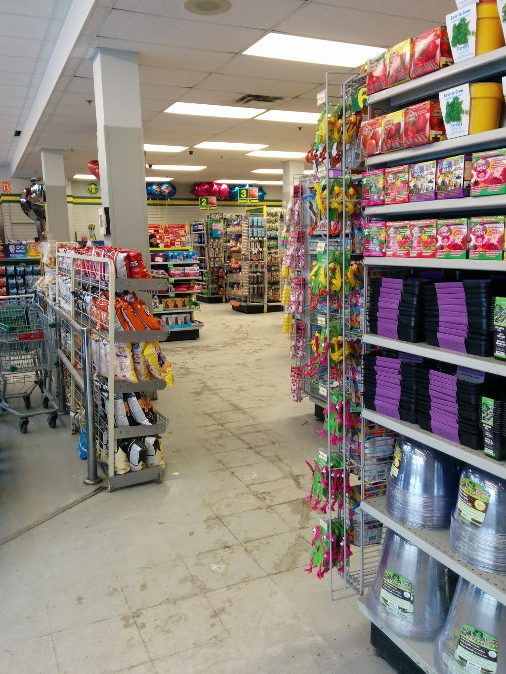 Dollarama | 3795 Rue Notre-Dame Ouest, Montréal, QC H4C 1P8, Canada | Phone: (514) 932-2512