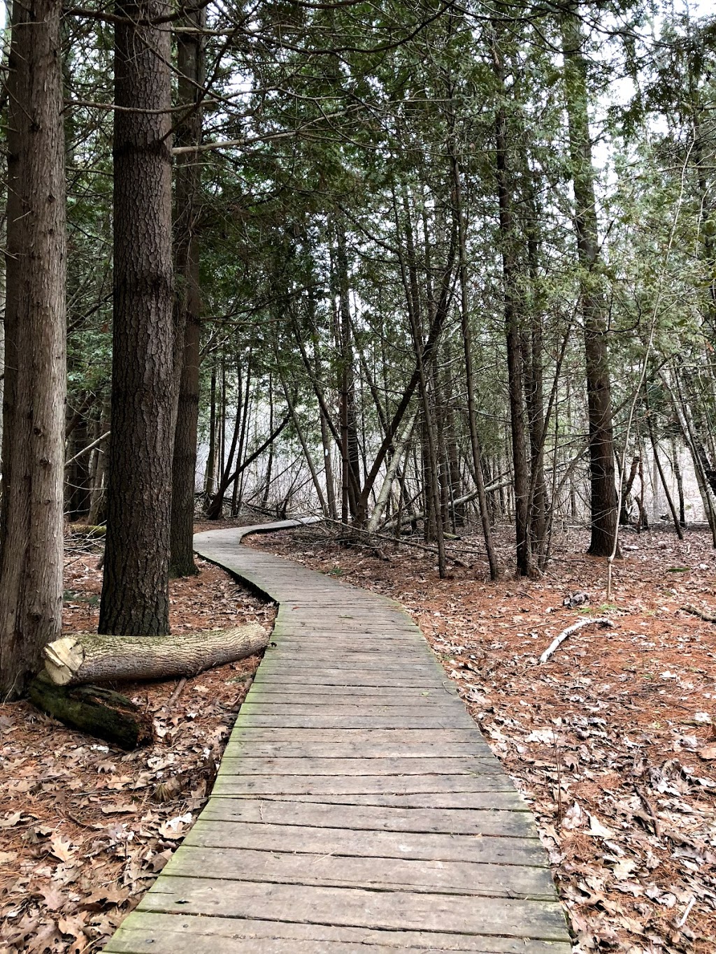 Komoka Provincial Park | 503 Gideon Dr, London, ON N6K 4N8, Canada | Phone: (519) 874-4691