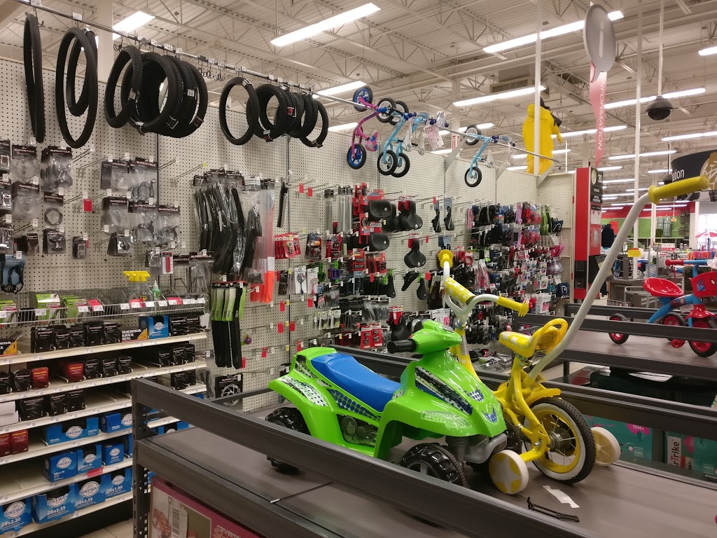 Canadian Tire | 2129 St Clair Ave W, Toronto, ON M6N 5B4, Canada | Phone: (416) 766-8141