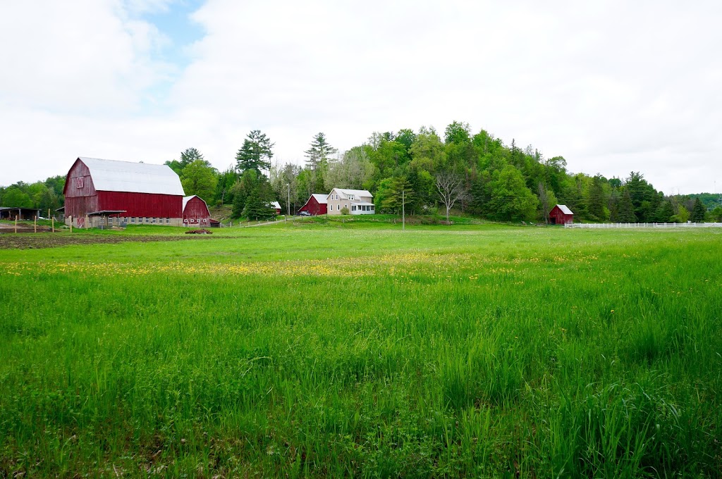 Ferme Leau du ruisseau | 291 Rte 105, Low, QC J0X 2C0, Canada | Phone: (613) 612-9348