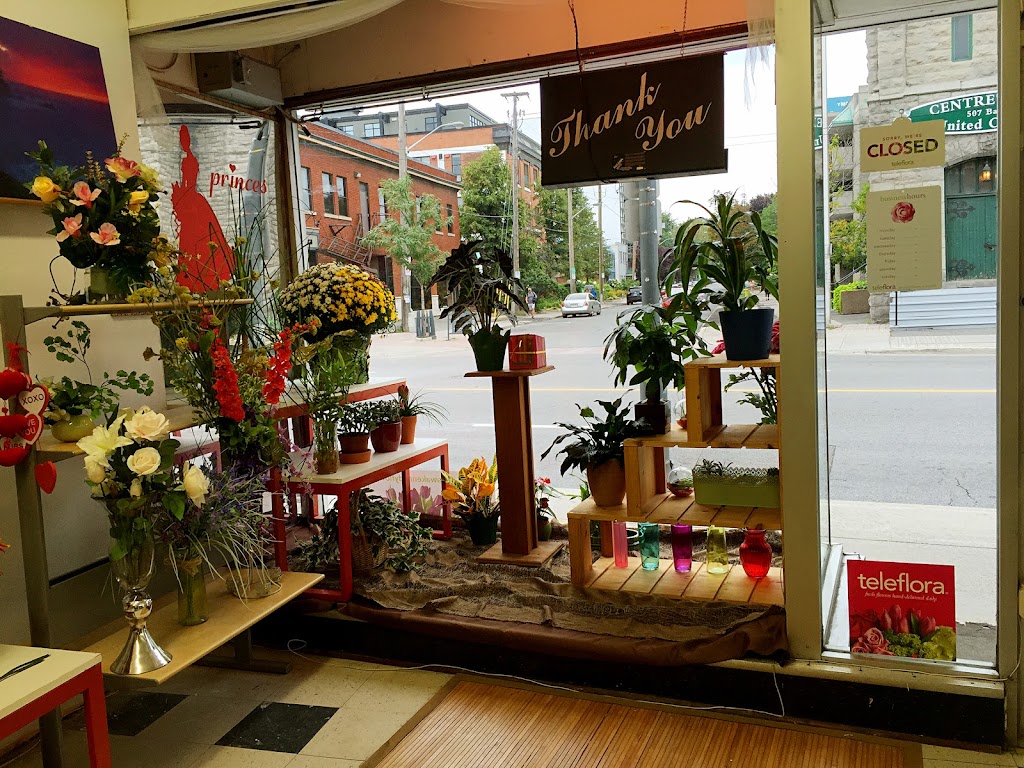 Ottawa Kennedy Flower Shop | 502 Bank St, Ottawa, ON K2P 1Z4, Canada | Phone: (613) 567-6737