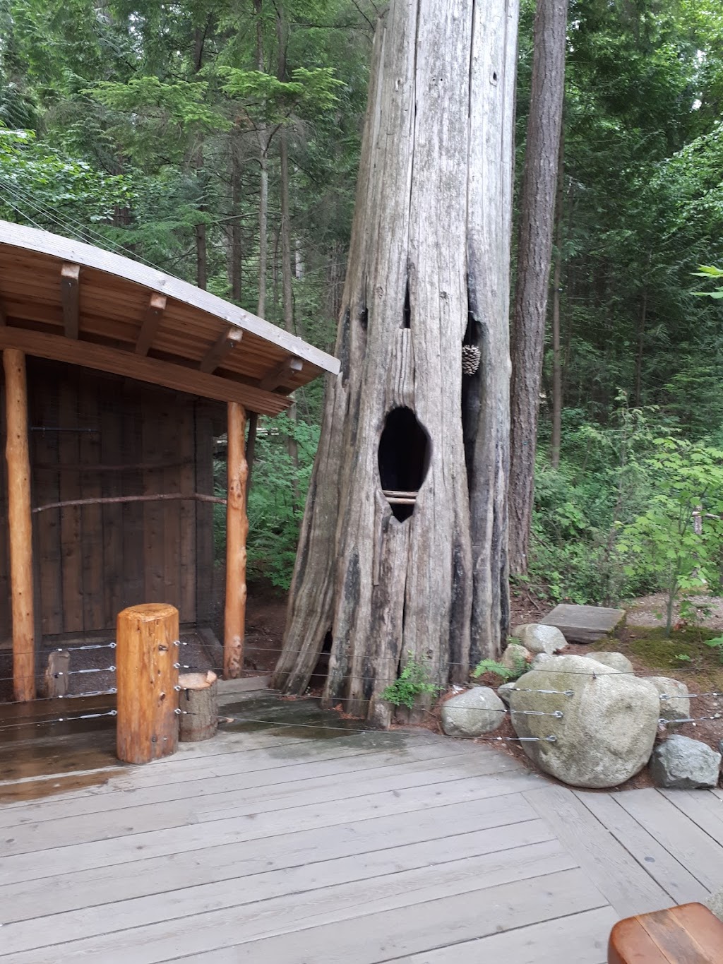 Canyon Manor | 3599 Capilano Rd, North Vancouver, BC V7R 4H9, Canada | Phone: (604) 987-7813