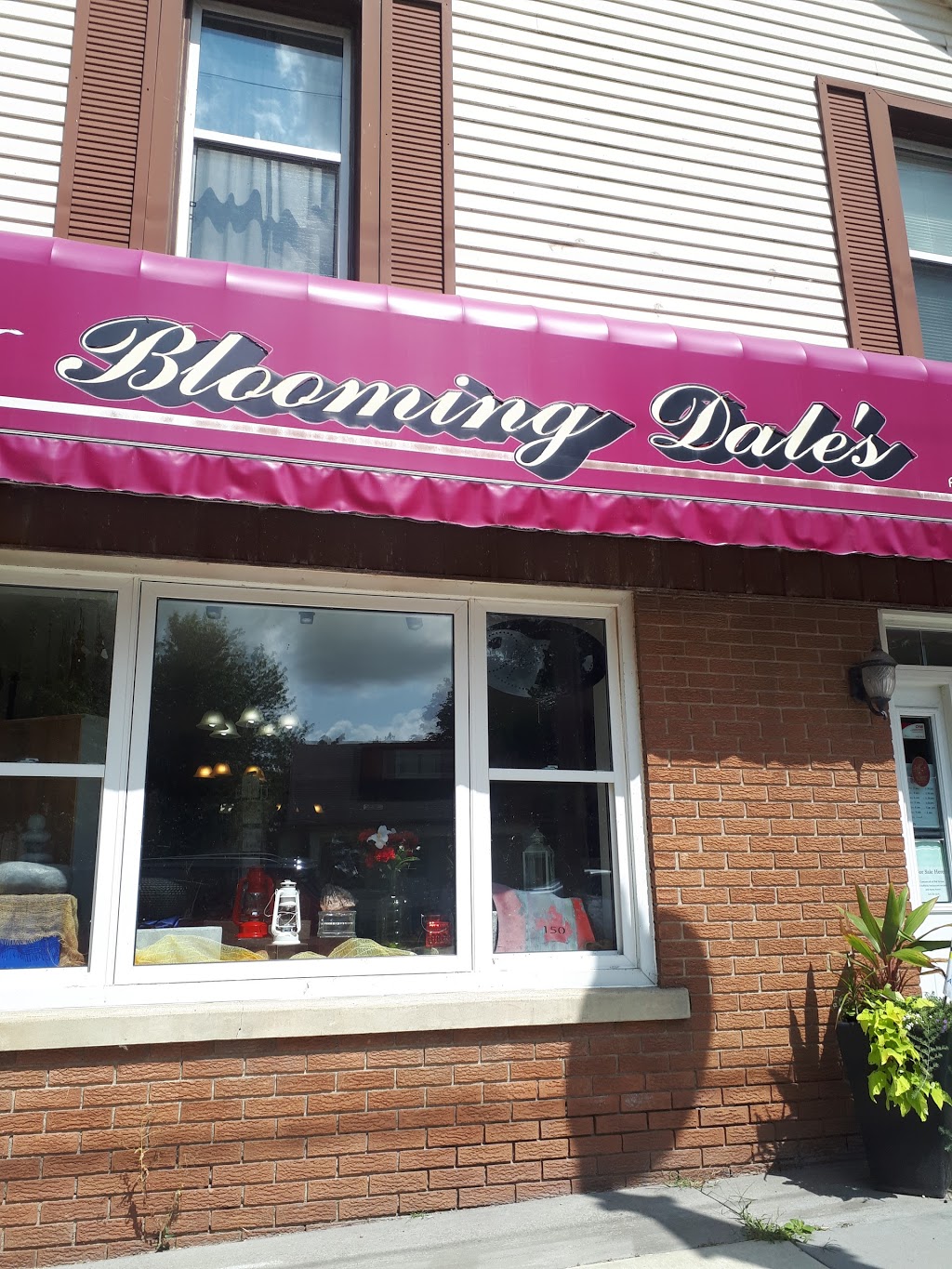 Blooms on Main | 28 Main St E, Drayton, ON N0G 1P0, Canada | Phone: (519) 638-7723
