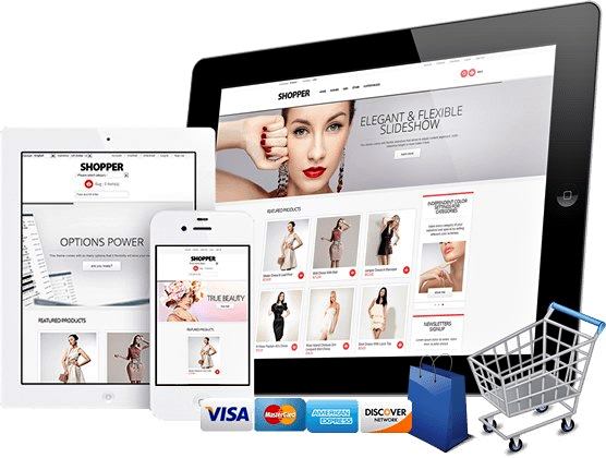 Website King Web Design Services | 1212 Dundas St W, Mississauga, ON L5C 2C4, Canada | Phone: (647) 362-9330