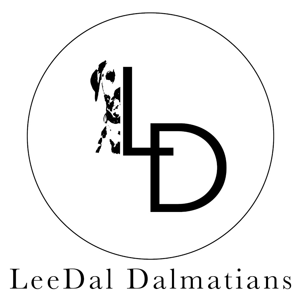 LeeDal Dalmatians | 10 Rustic Crescent, Norglenwold, AB T4S 1S5, Canada | Phone: (403) 872-3231