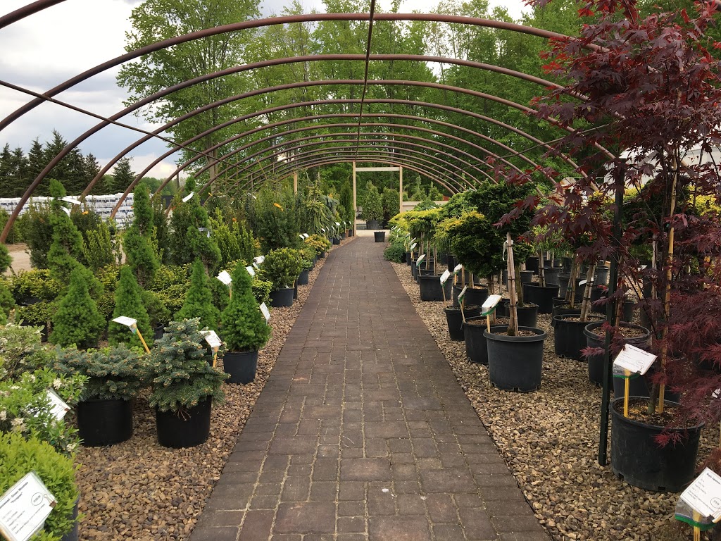 Wells Greenhouses and Landscape Services Inc. | 775486 Blandford Rd, Innerkip, ON N0J 1M0, Canada | Phone: (519) 469-3463